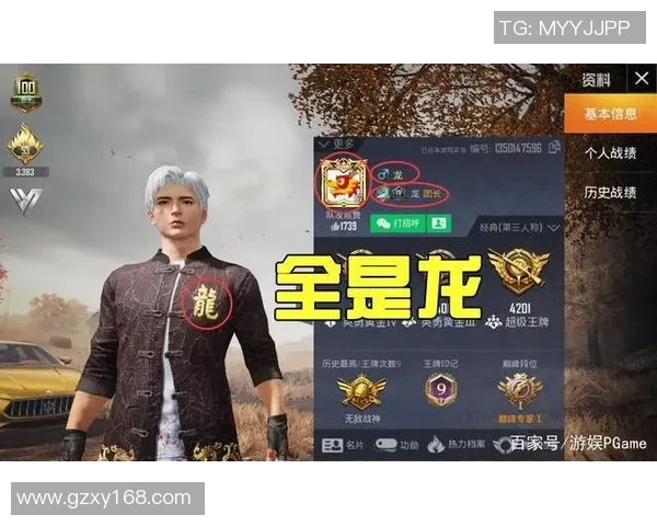 和平精英专题：深入探讨LNG战队的协作策略与团队精神